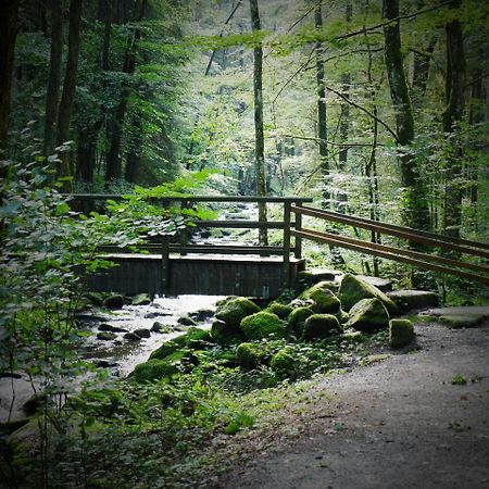 Fewo Kedo Neukirchen vorm Wald Екстериор снимка
