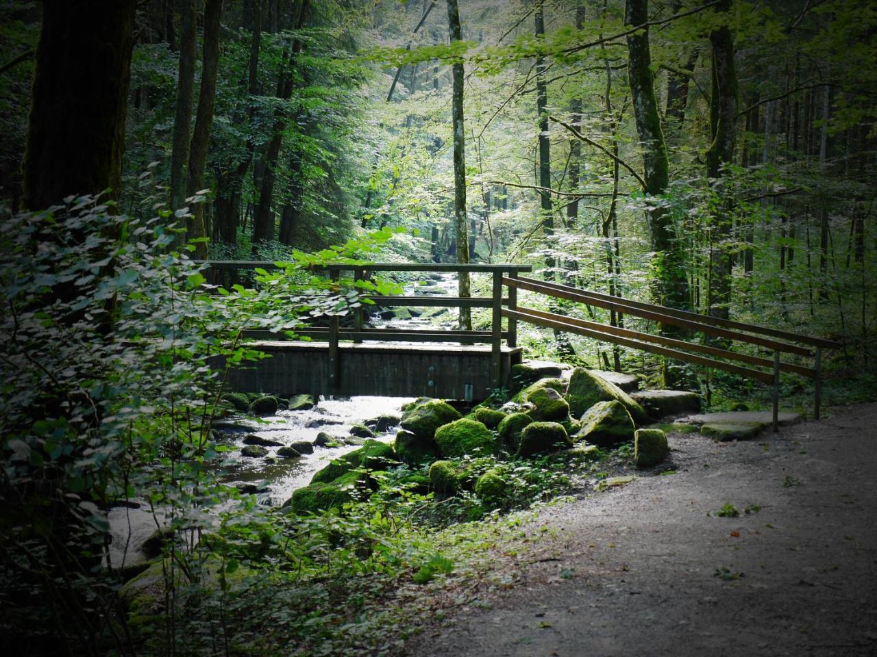 Fewo Kedo Neukirchen vorm Wald Екстериор снимка