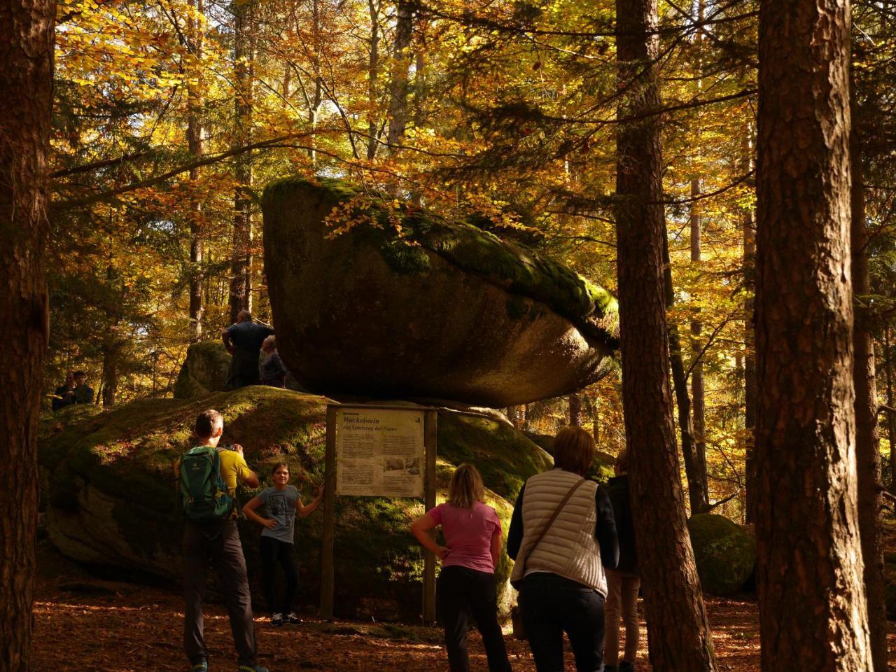 Fewo Kedo Neukirchen vorm Wald Екстериор снимка