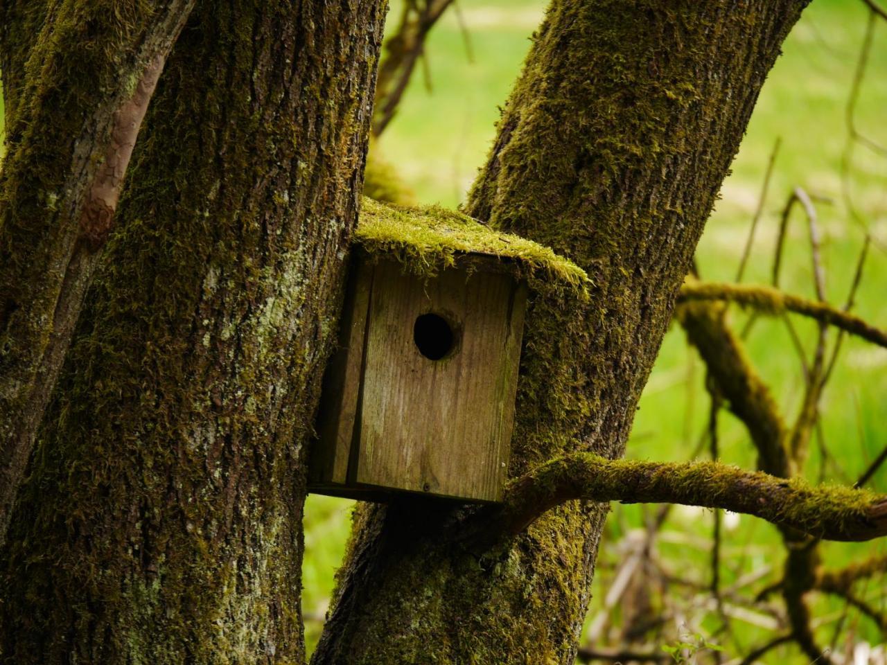 Fewo Kedo Neukirchen vorm Wald Екстериор снимка