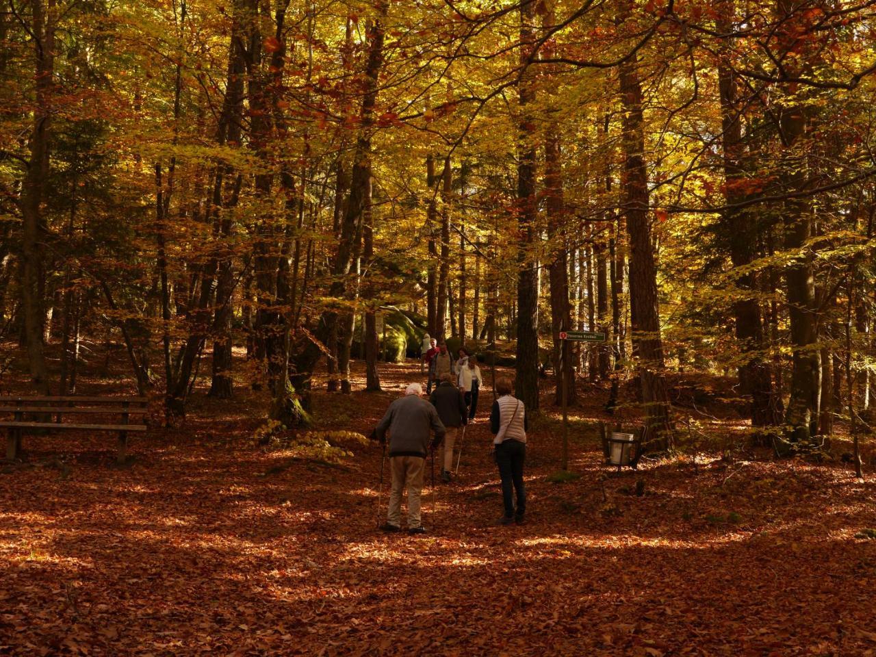 Fewo Kedo Neukirchen vorm Wald Екстериор снимка