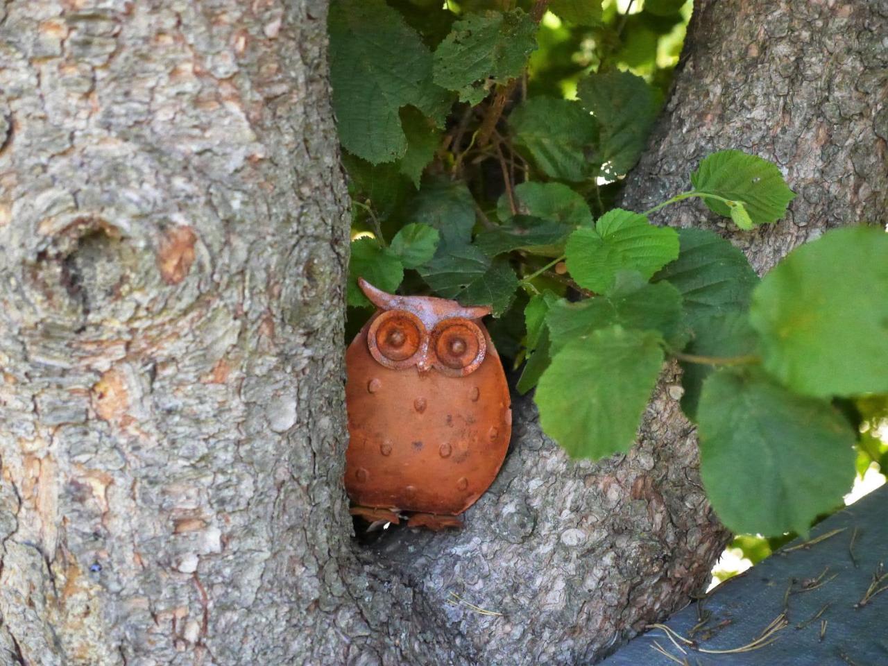 Fewo Kedo Neukirchen vorm Wald Екстериор снимка